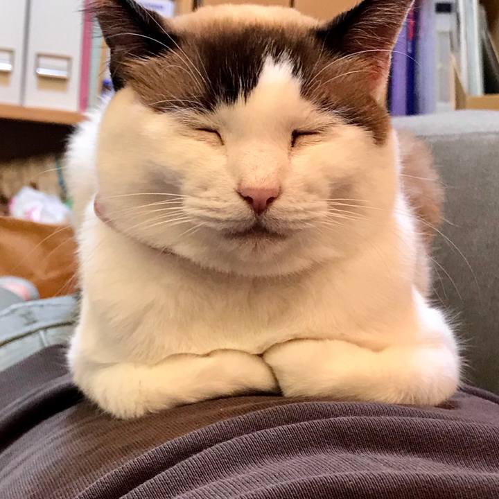 77ac07f5 c035 4684 8291 18762752f9b3 1541331801380