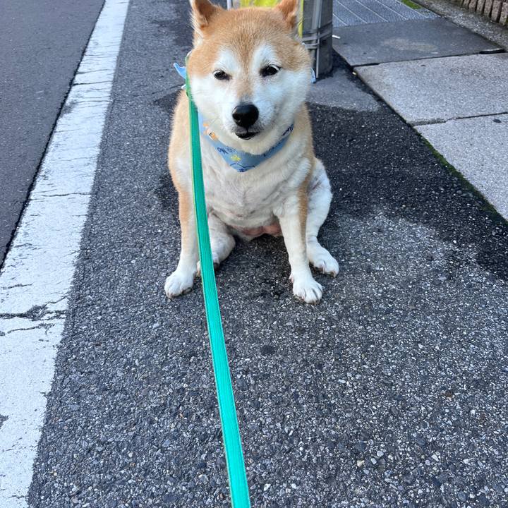 77ac104d 1e37 477d 9e66 1ebe8d1b26f2 1719194013139