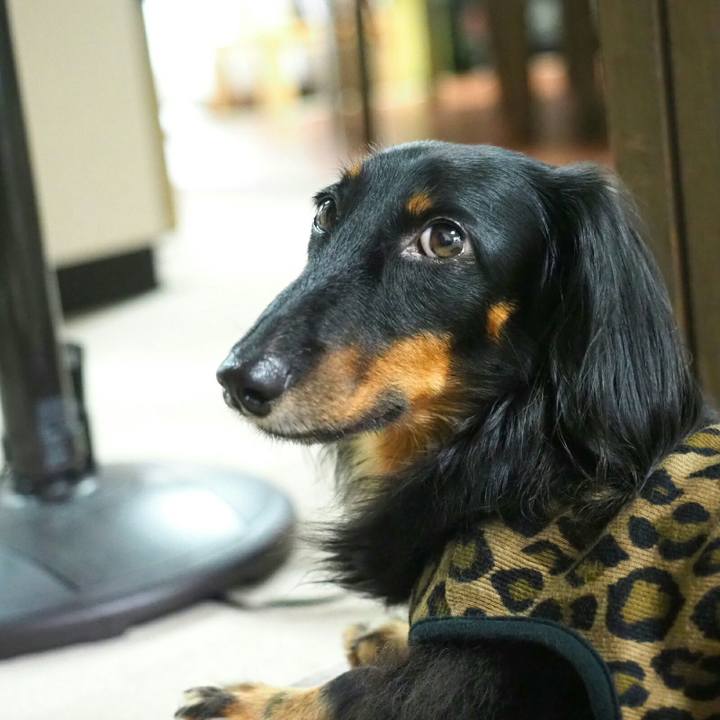 77ac7aa7 0f12 49e3 9ebe e0034426ebf8 1535161550747