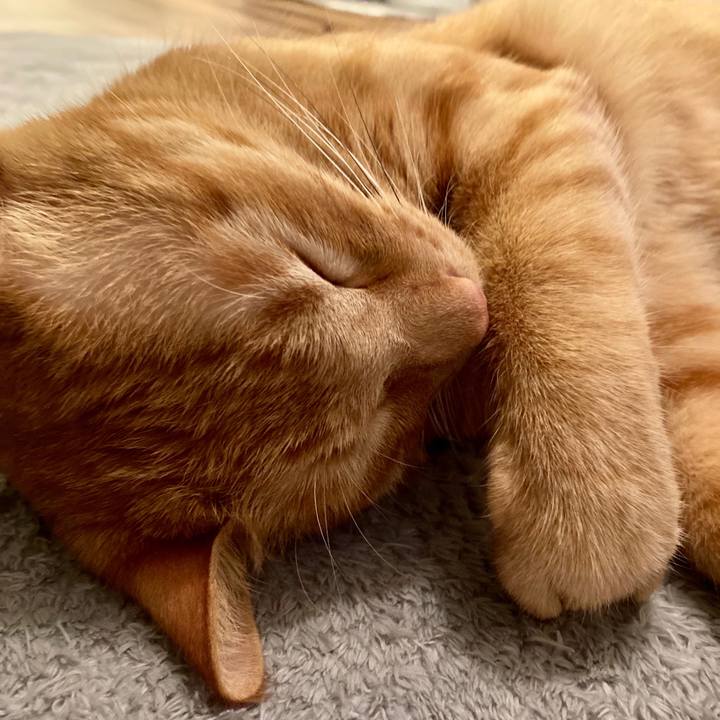 77ac9b25 0dfd 4fb9 b140 818401503bf1 1591270438036