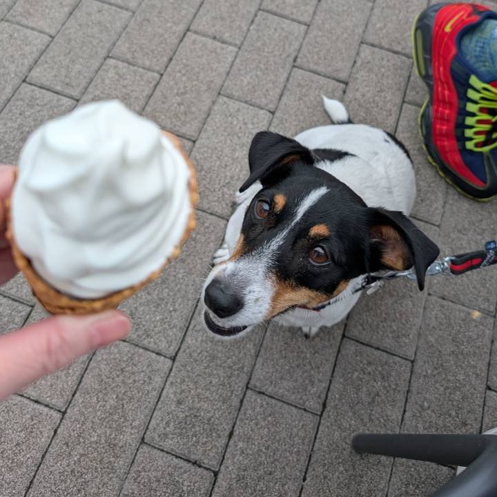 77acfead 1e20 4c35 b61c 8b11e6e717f9 1760277445733