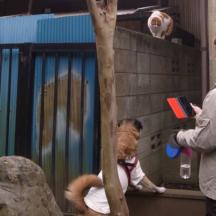 77ad3525 4526 4e6b a5bc 73e6c48932c1 1595549353486