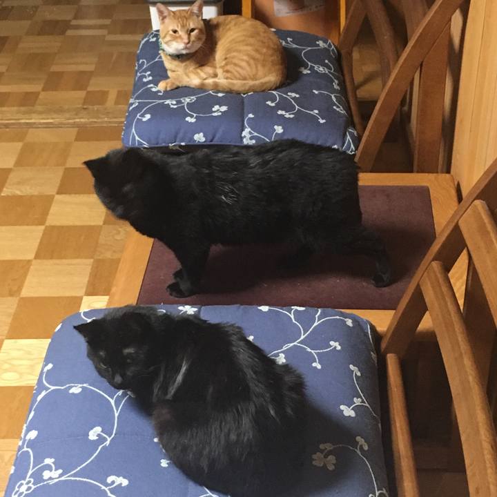 77ad41f5 8703 4fbb b8c2 865c2a4cdfee 1534939671171