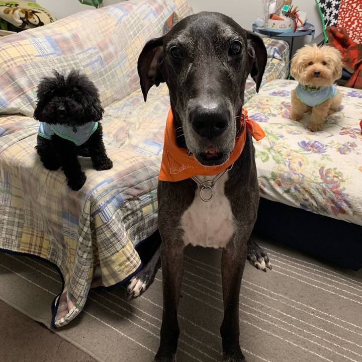 77ad8a8c 019c 4962 8fc1 d2b537bb7c2e 1568152493072