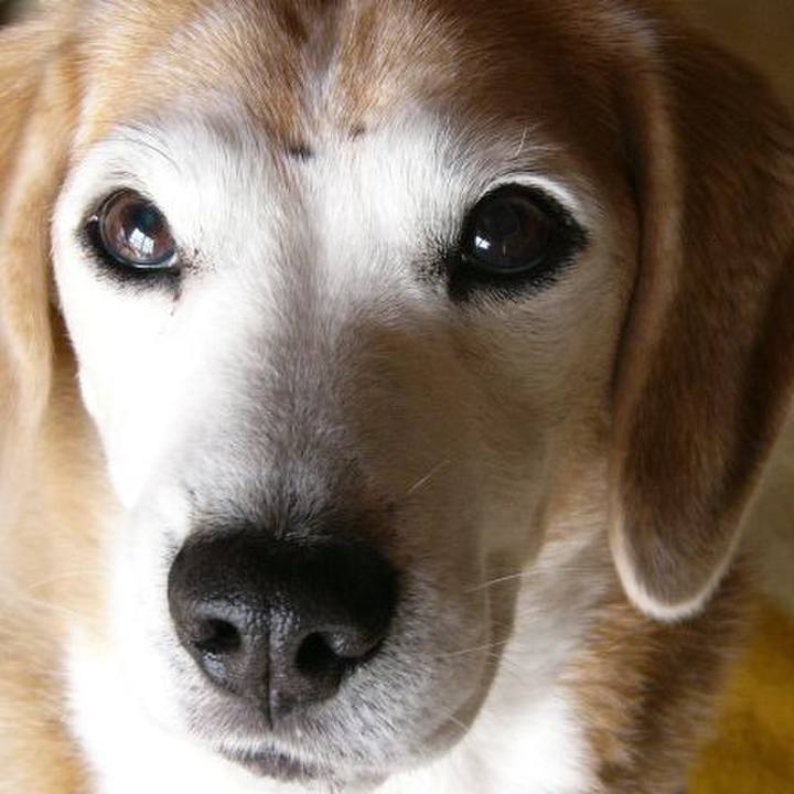 77ad9a88 dbc2 416a 9e9f a78532c3de2f 1676943368290