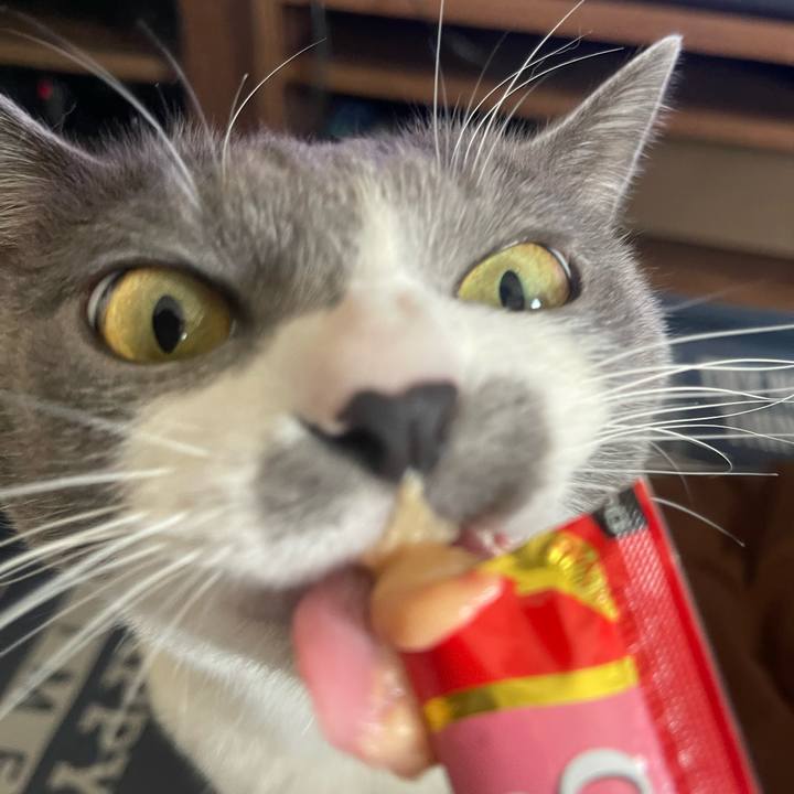 77ada482 168a 453c a938 4697ec884dfc 1707372165025