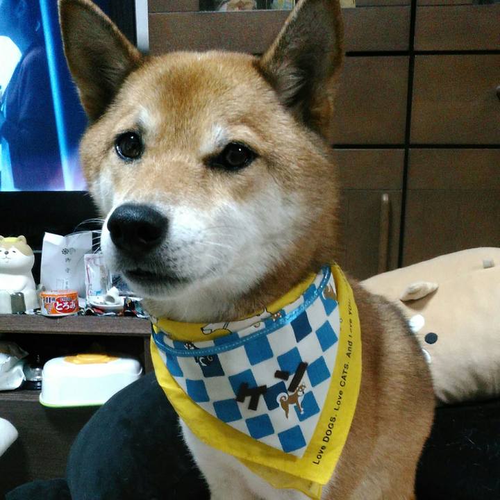 77adff58 20b8 4c70 85a5 8a496d6c4f99 1568816206574