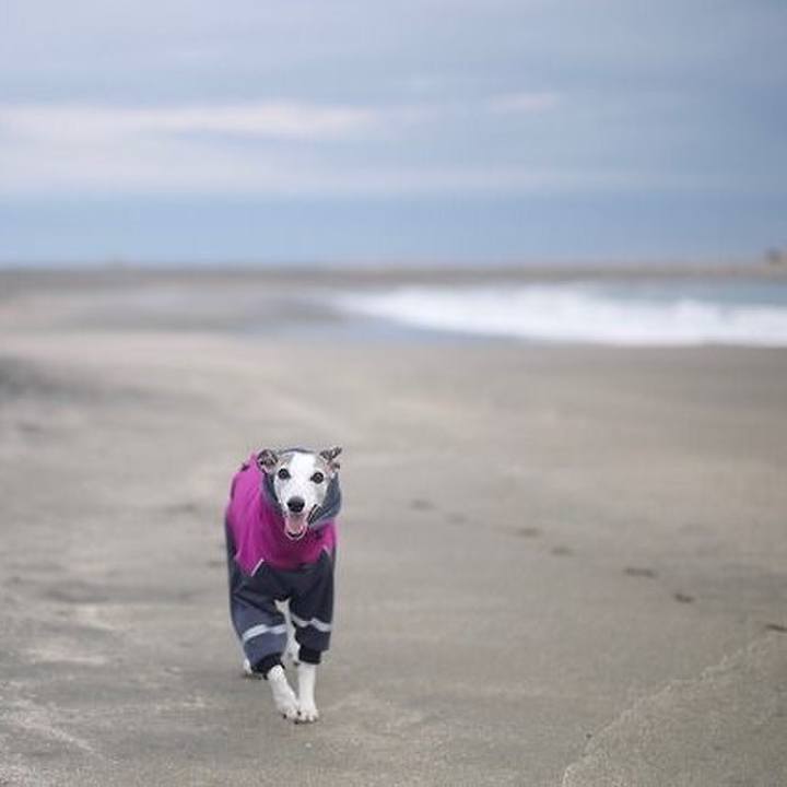 77ae003a f68b 4a63 af0d 54dba3035e26 1518787264009