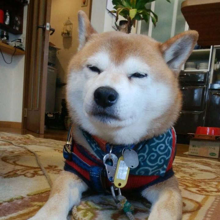 77ae1963 6004 4b56 b901 57941e76d561 1546578138339