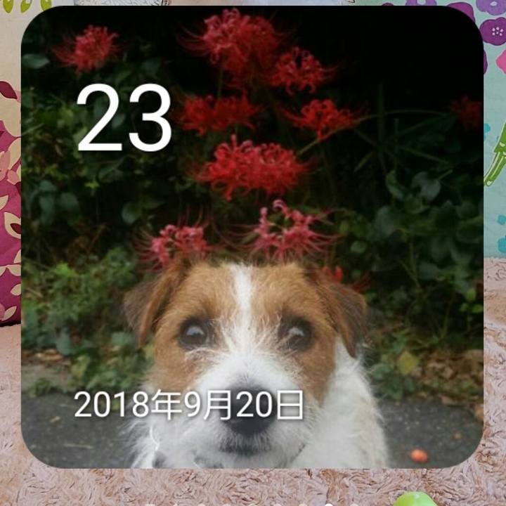 77ae302d 86eb 4b84 b30b 5d663a0c4678 1695448142992