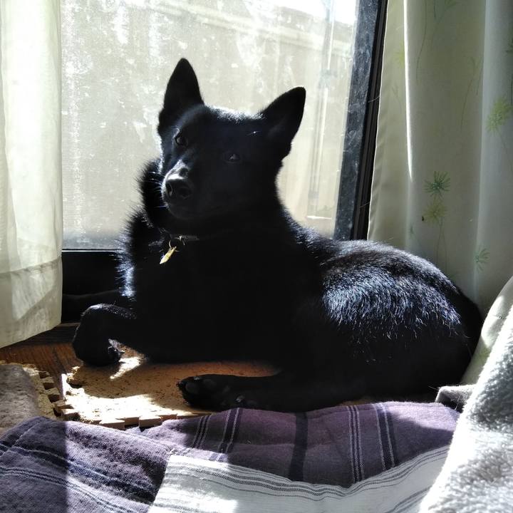 77ae5604 04d0 49c1 ba93 732c12fa7df6 1576379850055