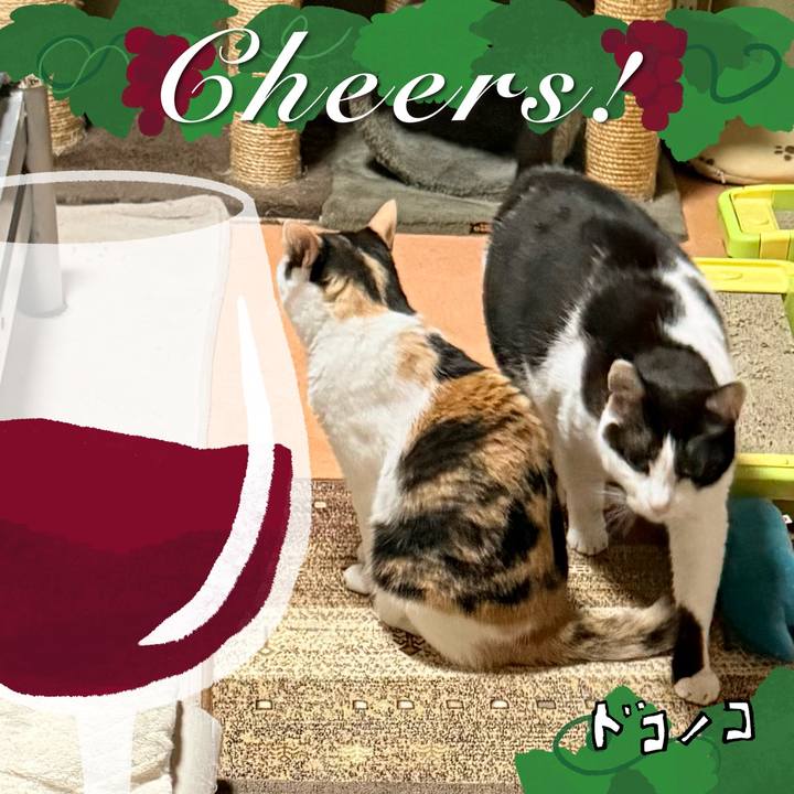 77ae57a9 70bb 4cf2 8c32 fde307d16722 1761443029670