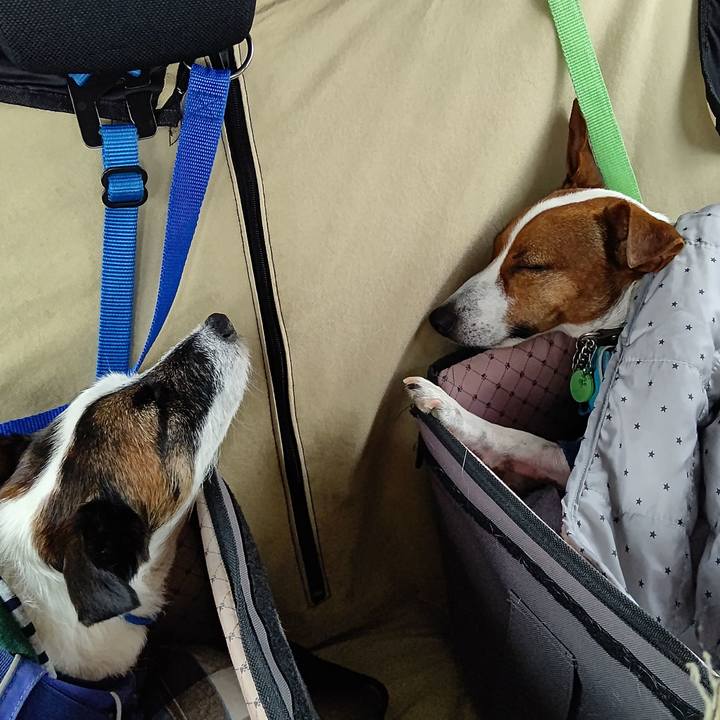 77ae7279 a97c 4114 8474 a0c40c0c6543 1635664838095