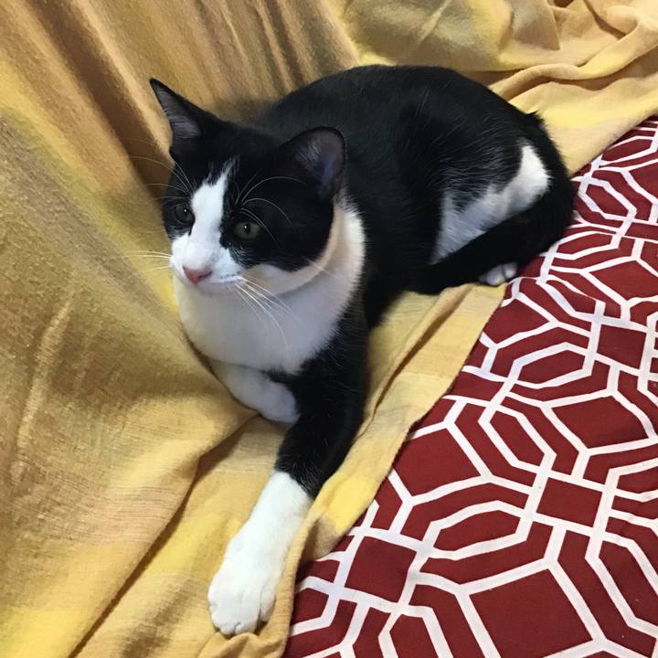 77aea4c8 bb08 4a5e 92ab ed5106877055 1637910843665