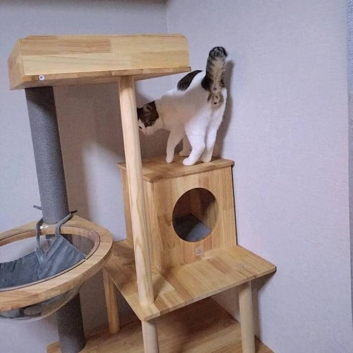 77aed5ab a7cd 4417 90cc 0edbf749bb99 1762259096162