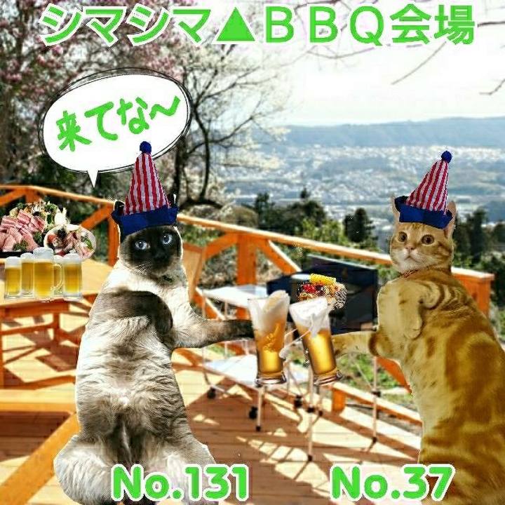 77aedc3d cc93 4965 aa92 e0c236e6941b 1527942777281