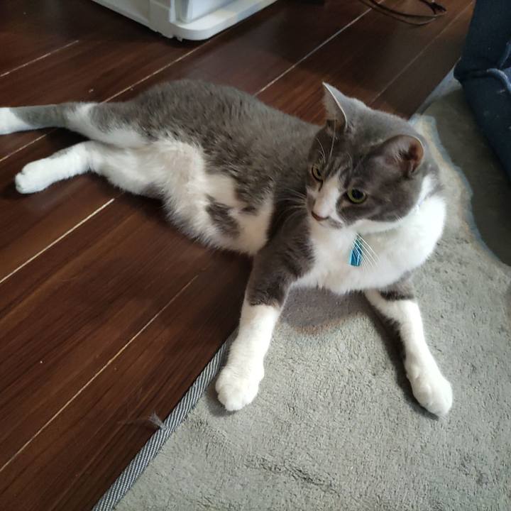 77aedfc5 f8f6 4f3d aebd fde3f14e1d9a 1664488272555