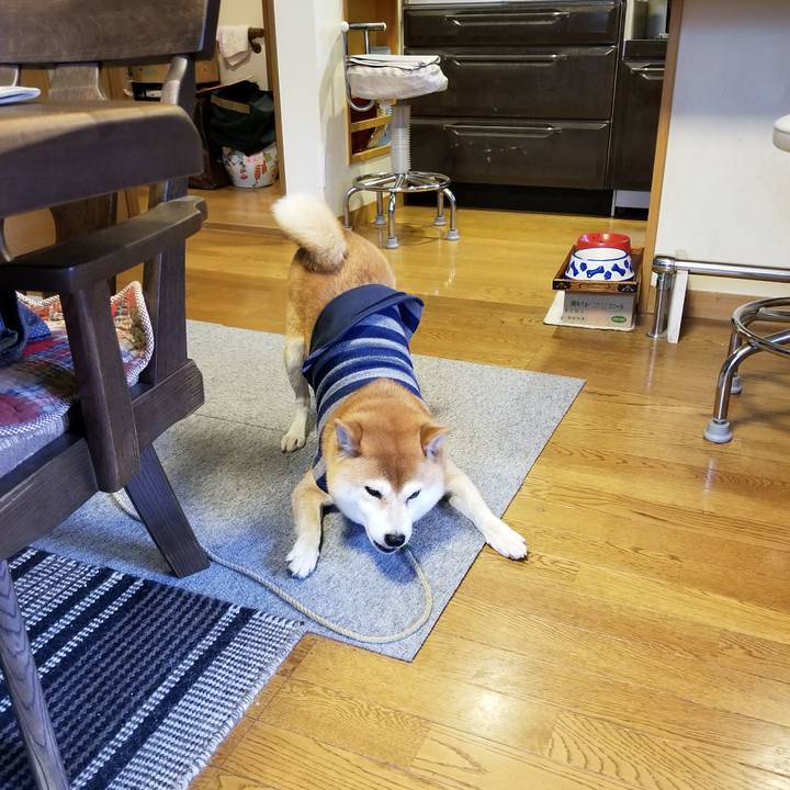 77aee0c1 ec68 4a78 a77c 8f85dbb06ed3 1510380708701