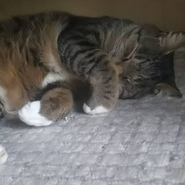 77af22ed ec1e 4eb5 bfc0 2a3487b1a066 1621759002680