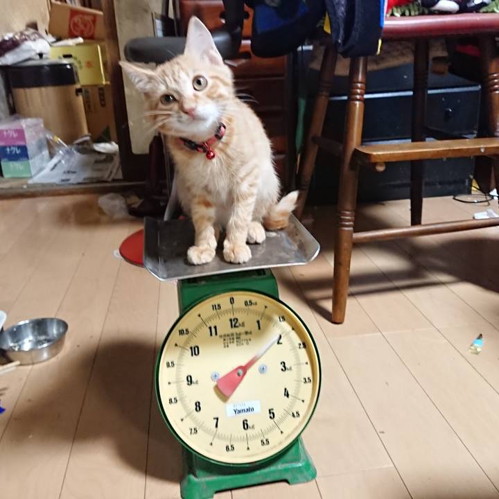 77af5547 7932 4b22 b263 ffc784013e47 1632475719082