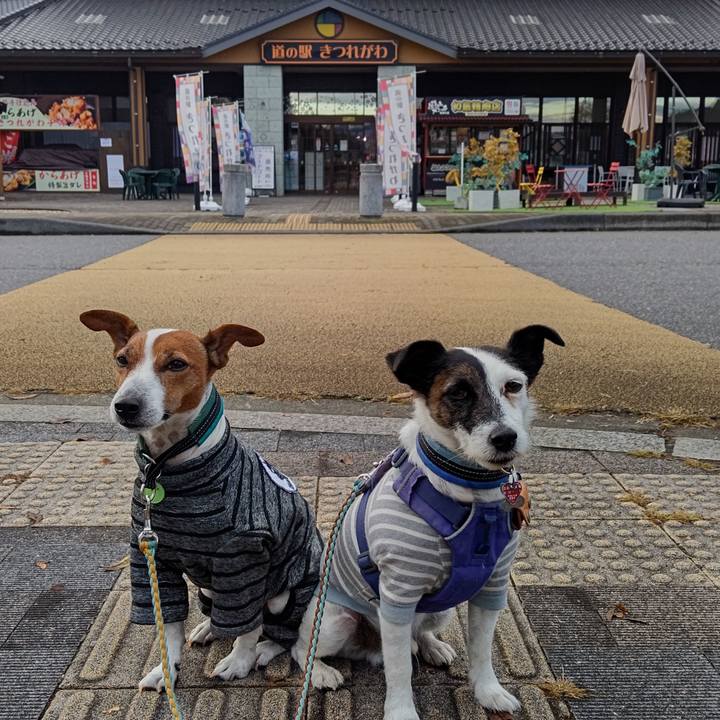 77af67be 58b4 4ec2 b22e 939eb848a4ac 1698536100155