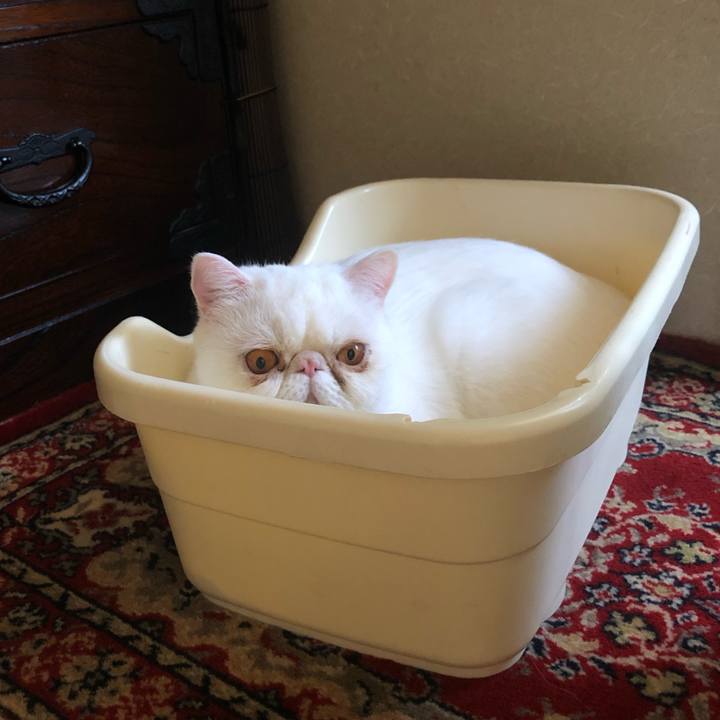 77b013bf 8d05 4673 9e40 d4694dcc7d13 1620520955856