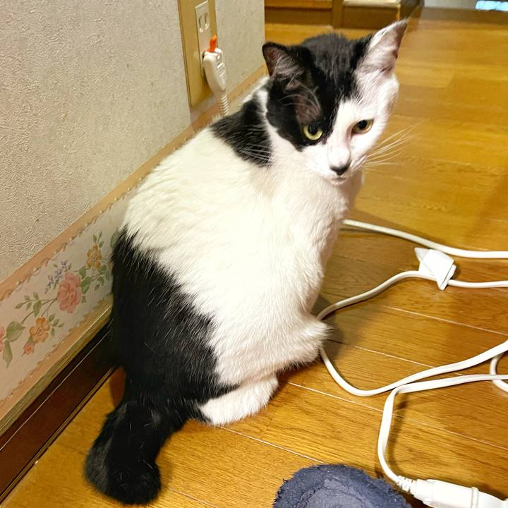 77b02912 d367 48d8 8fa4 4a55777e011c 1708988275889