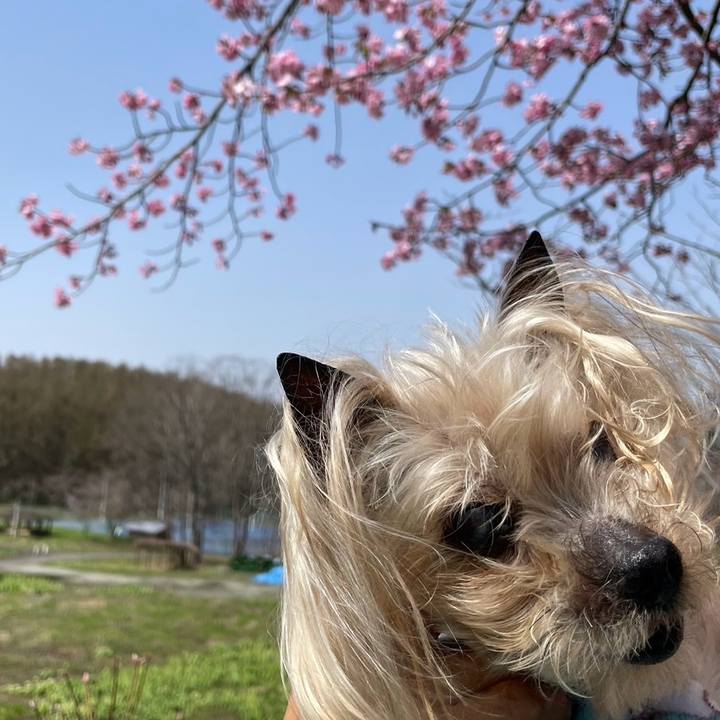 77b02954 4924 43e3 b078 34f4ba02e0c5 1714278012753