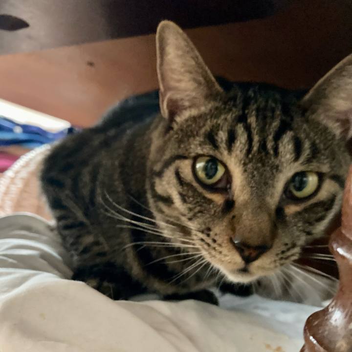 77b043cf a306 44d3 b12d 8ec7b2b406cd 1700697825871