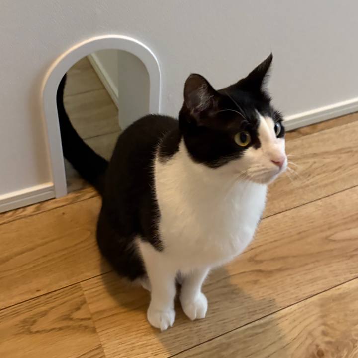 77b0988b e324 4de5 863c 84bac244a068 1759210574500