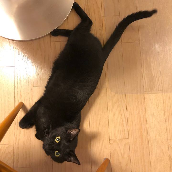 77b0a764 fdac 4402 8361 09c56d0eb8b0 1549626966889