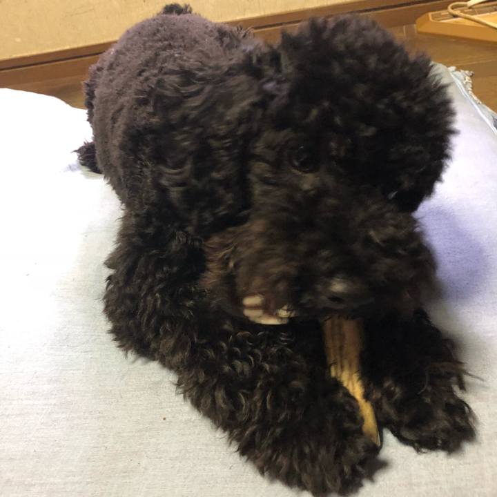 77b0ae49 94ca 45b9 ade6 d6d04fc40109 1507799944924