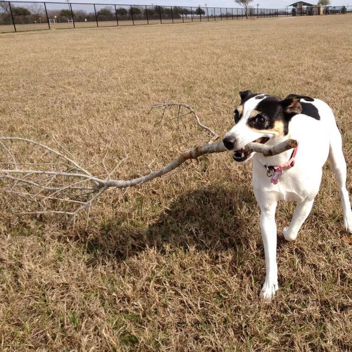 77b0b13d 76ff 4cae ac18 fb654b6487ba 1694038699822