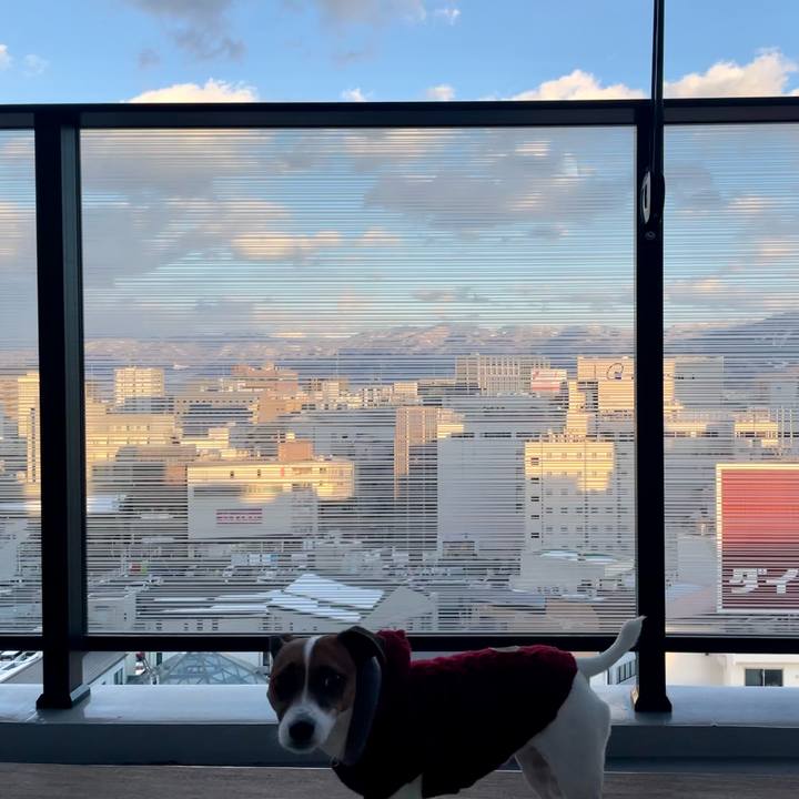 77b0d4dd 870a 44c1 9425 6a1256724fdf 1643615787409