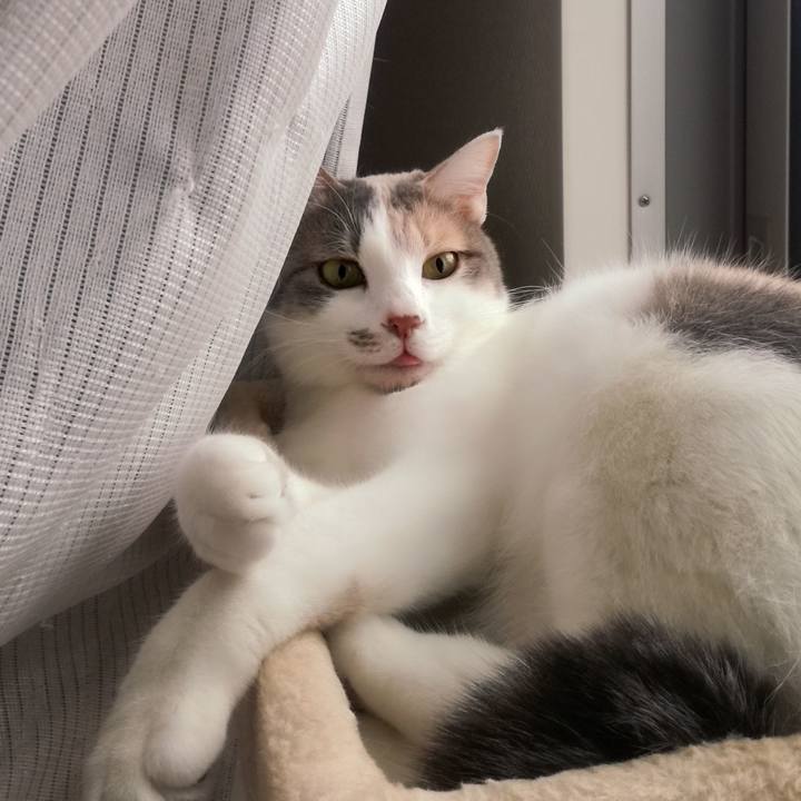 77b0d69d f830 4bcf b472 89fdf630850d 1516847747876