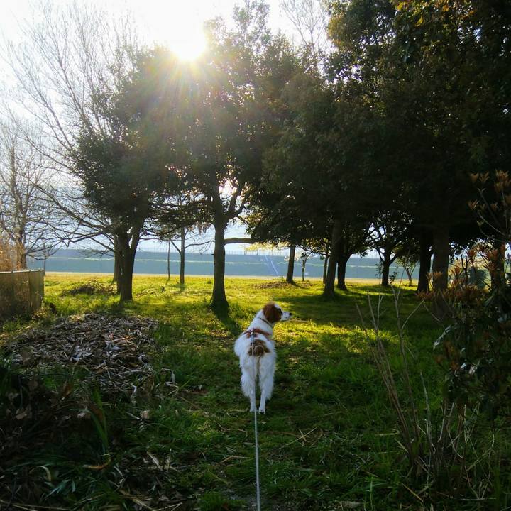 77b0d960 6291 4da8 9995 dfcaa95ead08 1554423655195