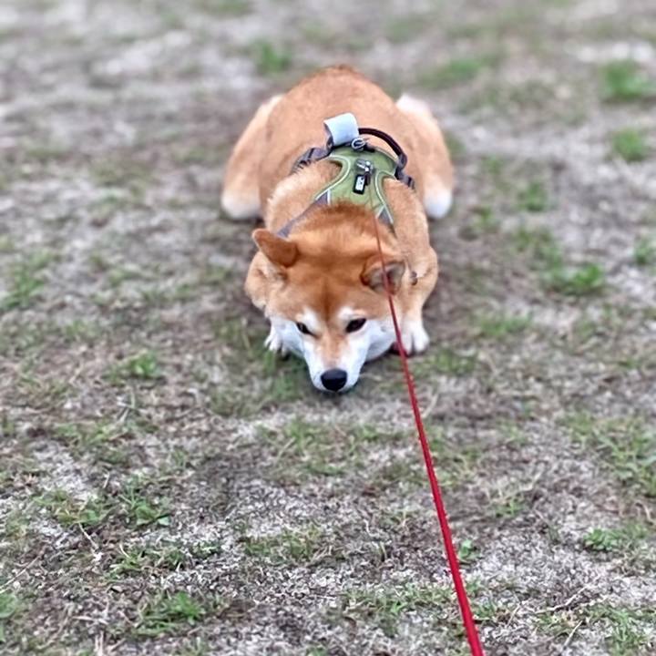 77b0dedb 6b66 43ac 9ead a0362a1fedeb 1651095323322