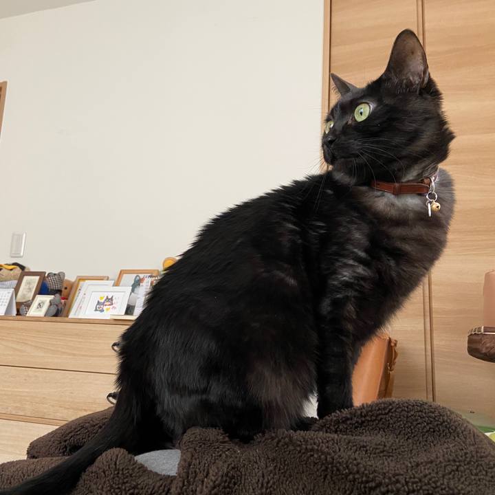 77b0fd20 7aad 4a73 b61d 04e2ab6285b0 1648466365239