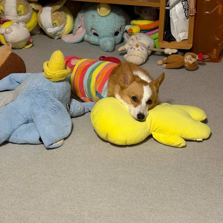 77b11c18 8b23 46a8 bddb 3fe3c266cfb0 1773415402654