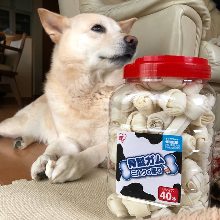 77b14bd0 16bb 4fb9 9fd0 348bd777dbb2 1544502030999