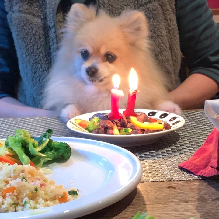 77b16cd2 77fc 4597 b306 65996d674ecb 1644377392256