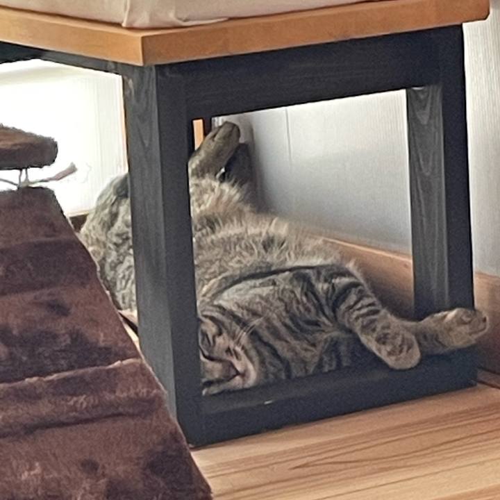 77b1e74a 0f25 4419 b3f1 c97bd92f23c2 1757829778569