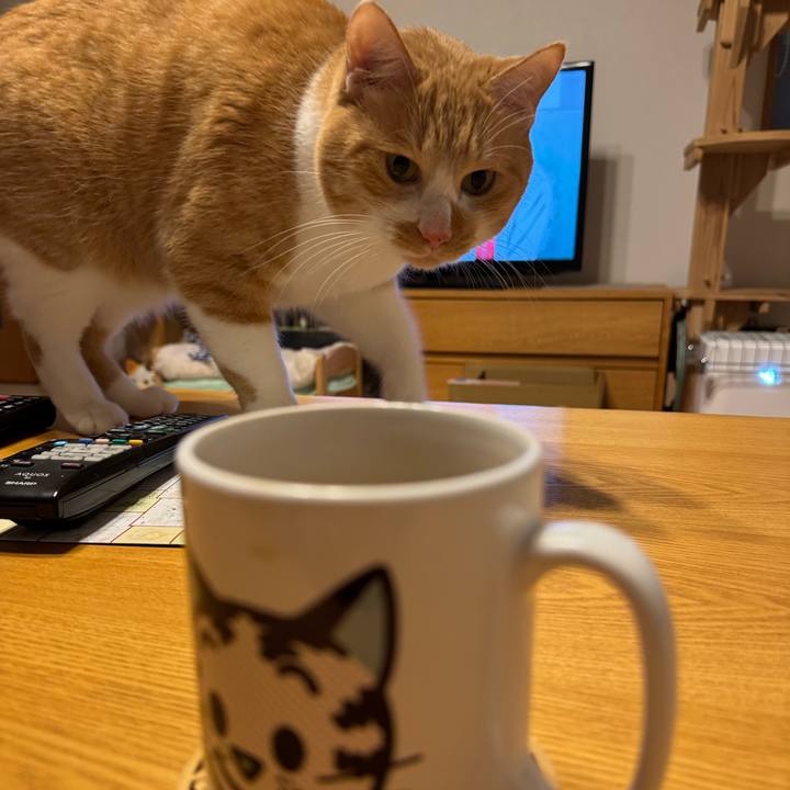 77b1f0e5 a716 420d 95b2 13cc68f8a1a7 1767694939410