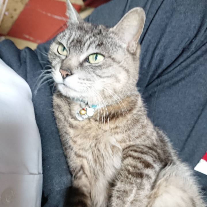 77b21628 48bc 4e95 9254 8e3eb3a27f48 1557394604351