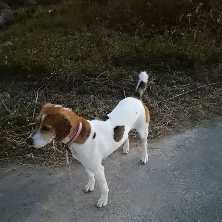 77b23a50 383e 47d9 a96e b43e53849c57 1576498564099