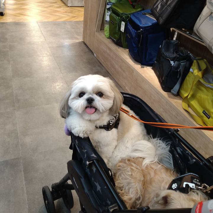 77b23cf9 d30e 40ad bb1e d0bf0512bd45 1647558854672