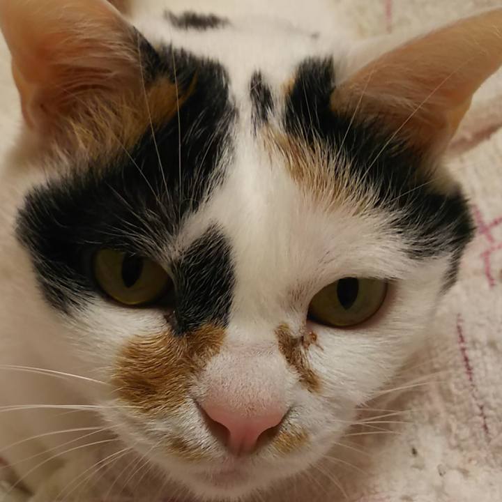 77b25c7b 9633 43f3 9eca 997e8618561c 1556806708998