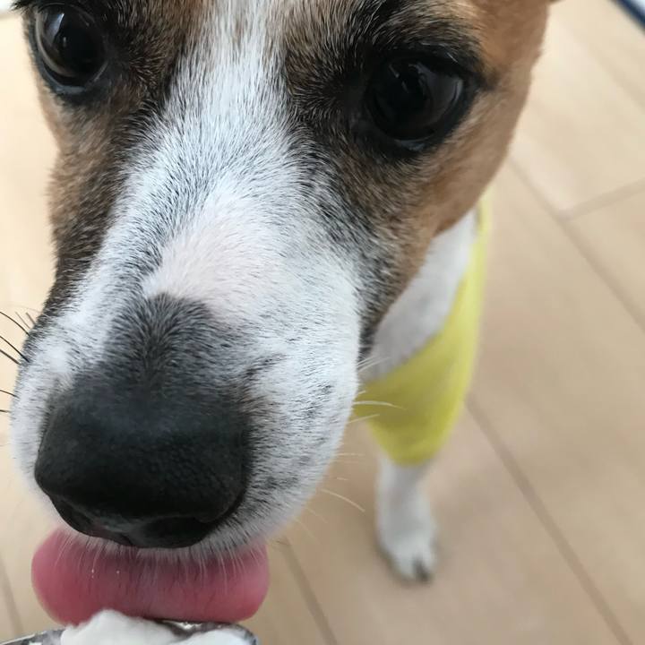 77b26ce3 606e 493e b9fc 25fe954c1c64 1713878709443