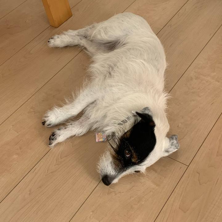 77b2710f 8aa8 4616 8dbb d91f24a93774 1653870718095