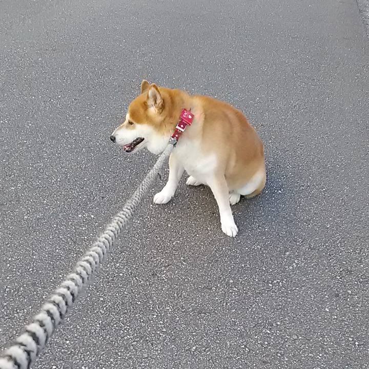 77b2ac77 15f6 43cd 9b11 14b982394f71 1652517037601